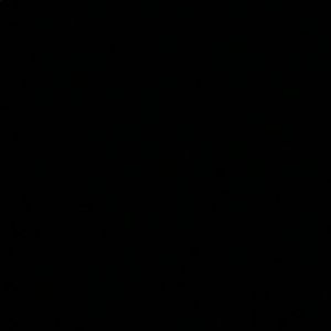 Meet your Posher, Gracie